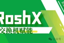 RoshX交换机赋能：构建电机生产网络，实现高效互联互通