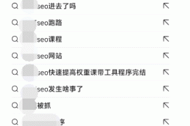 网传某黑帽SEO培训大V出事了