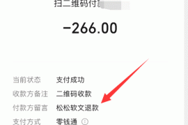 受ChatGPT影响：松松软文第一个客户退款266元