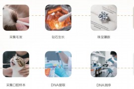 华大鉴正发布生命纪念钻石定制融合基因检测技术附带专属DNA认证档案