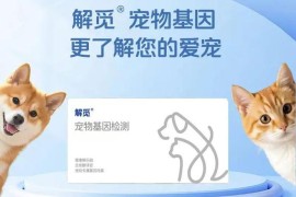 毛发变钻石？华大给宠物界的科技浪漫|基因检测|生命健康与情感联结
