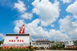 紧跟产业新篇章 创新写好红粮韵