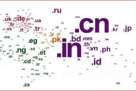 CN域名隐私保护内测收费